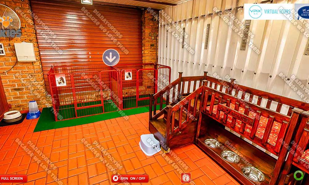 Play Area
