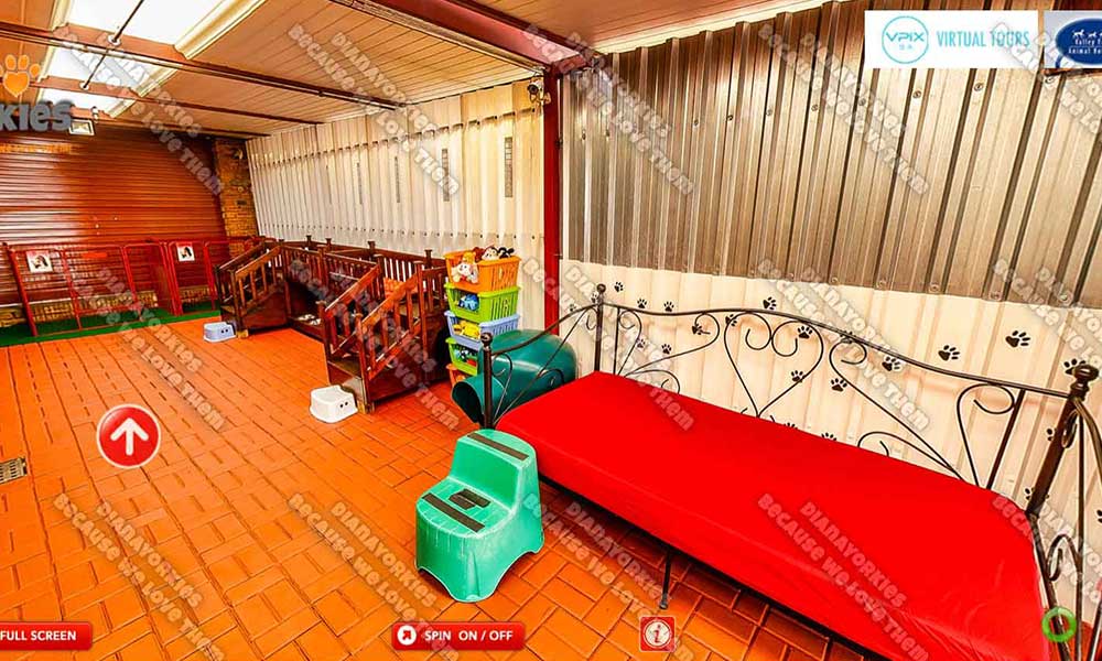 Play Area