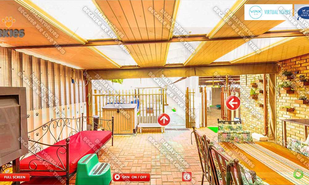 Play Area