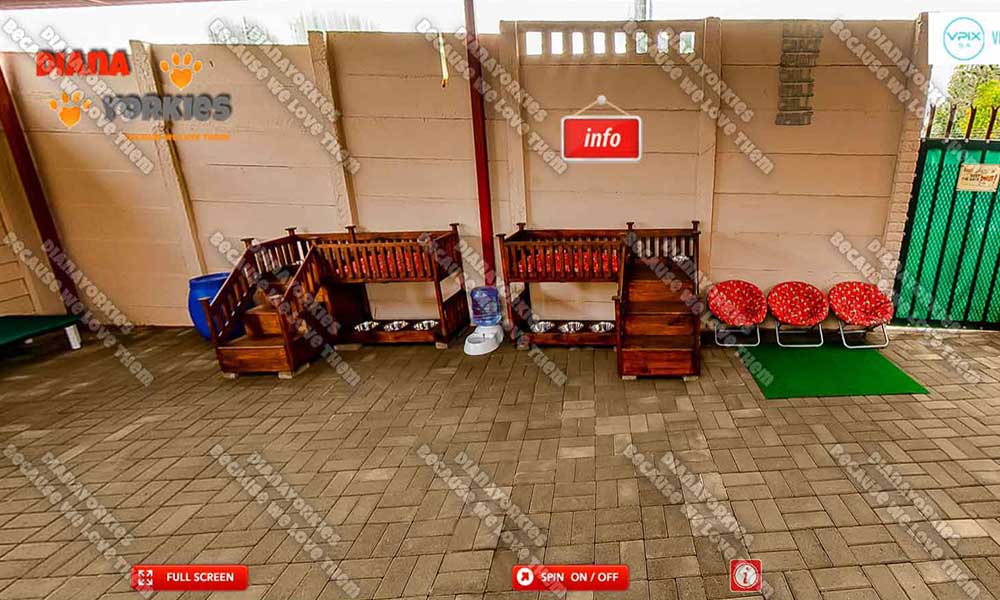 Play Area