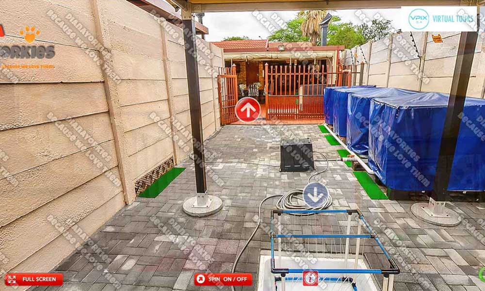 Play Area