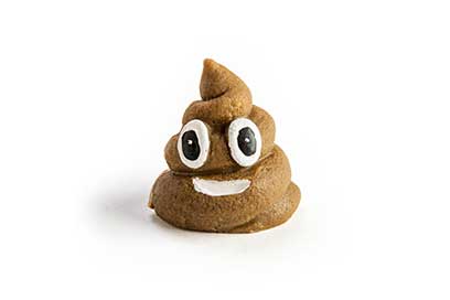 dog poop
