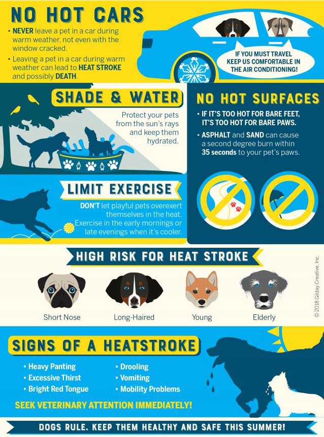 Summer Safety tips