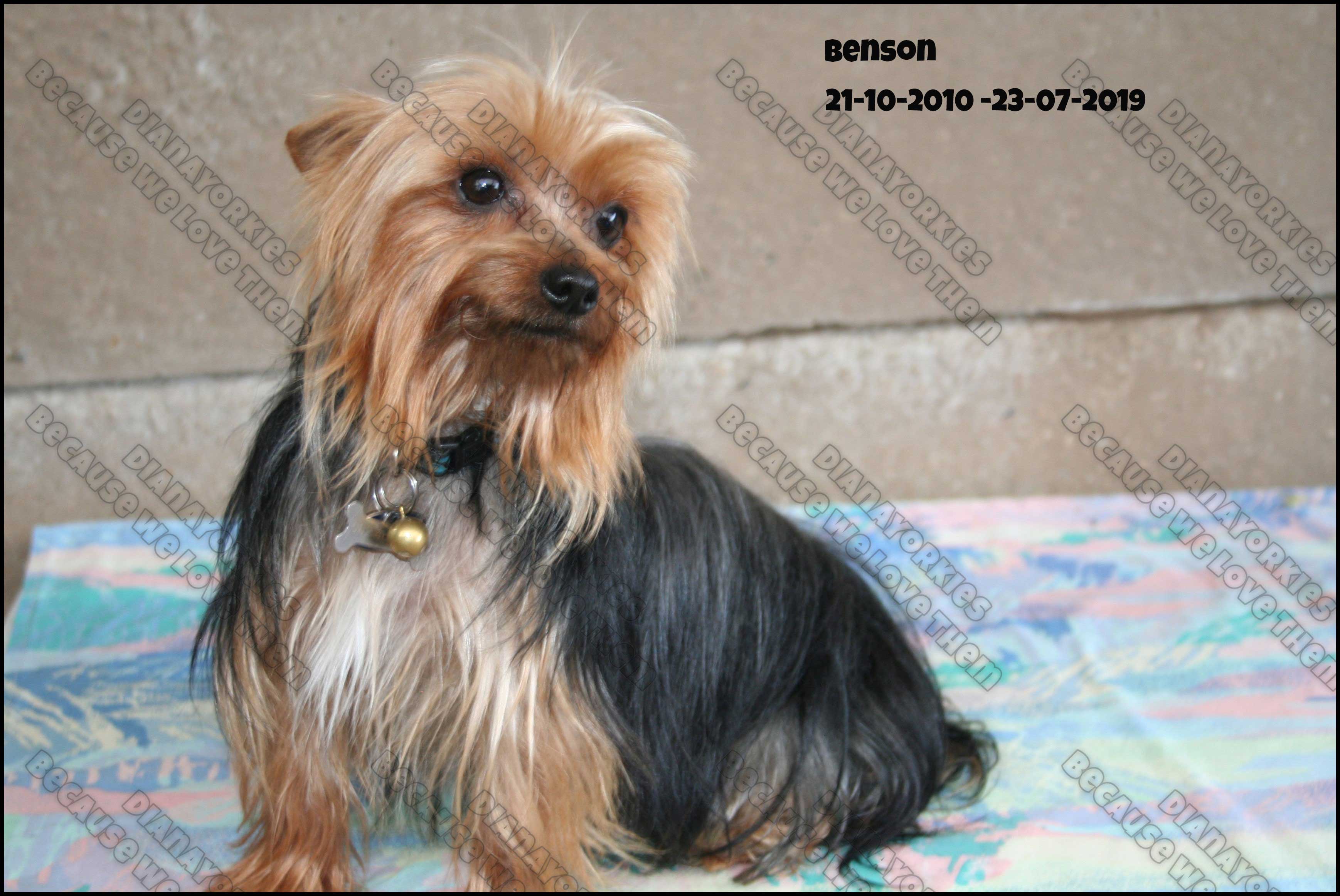 Benson